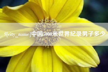 宁阳中国5000米世界纪录男子多少