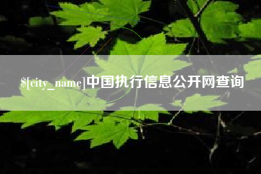 宁阳中国执行信息公开网查询