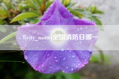 宁阳全国消防日哪一