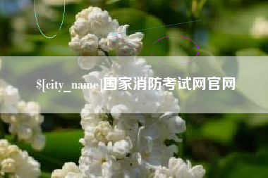 宁阳国家消防考试网官网