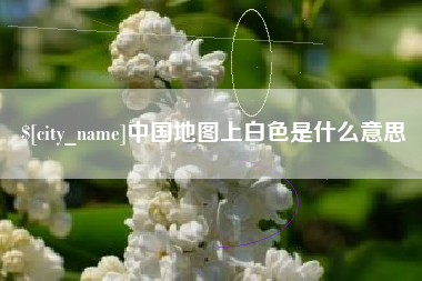 宁阳中国地图上白色是什么意思