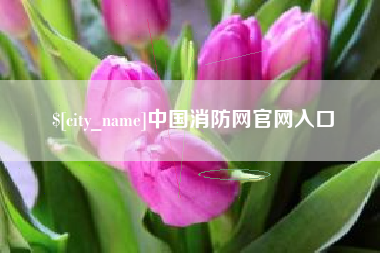 宁阳中国消防网官网入口