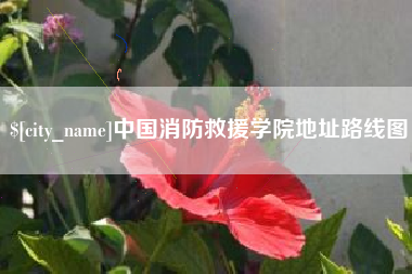 宁阳中国消防救援学院地址路线图
