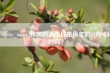 宁阳我国的消防日是每年的11月9日对吗？