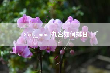 宁阳九宫如何排日