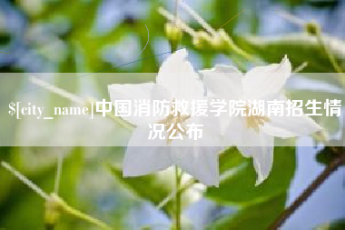 宁阳中国消防救援学院湖南招生情况公布