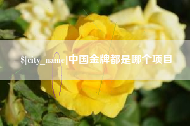 宁阳中国金牌都是哪个项目