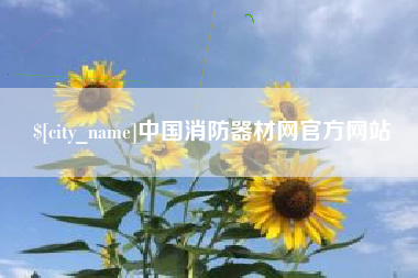 宁阳中国消防器材网官方网站