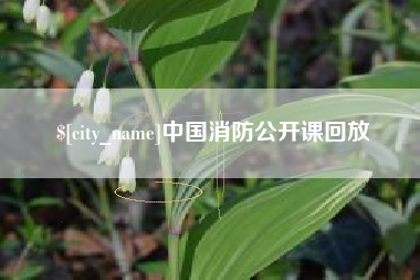 宁阳中国消防公开课回放
