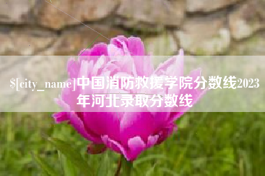 宁阳中国消防救援学院分数线2023年河北录取分数线