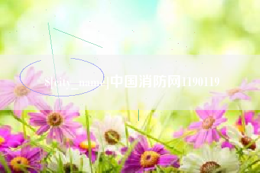 宁阳中国消防网1190119