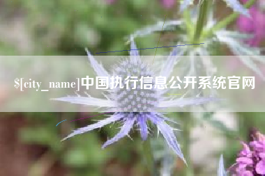 宁阳中国执行信息公开系统官网