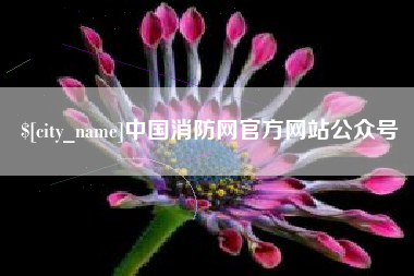 宁阳中国消防网官方网站公众号