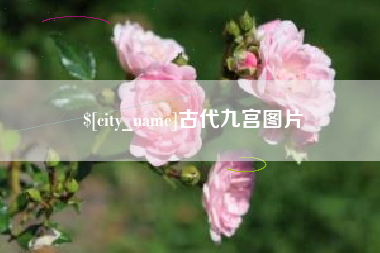 宁阳古代九宫图片