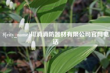 宁阳川消消防器材有限公司官网电话