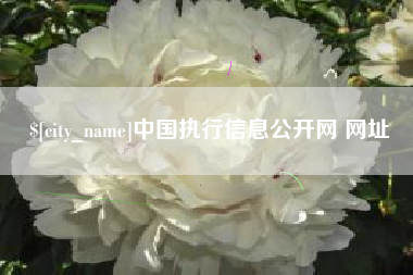 宁阳中国执行信息公开网 网址