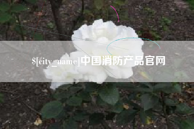 宁阳中国消防产品官网