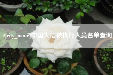 宁阳中国失信被执行人员名单查询