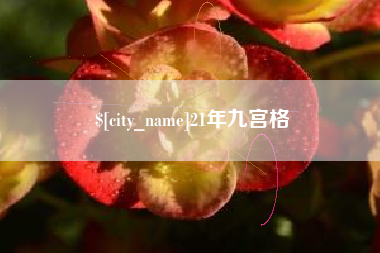 宁阳21年九宫格