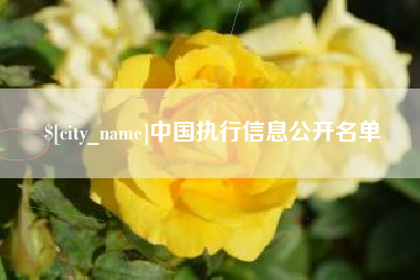 宁阳中国执行信息公开名单