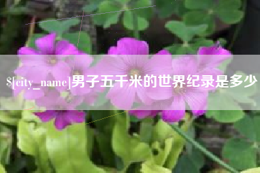 宁阳男子五千米的世界纪录是多少