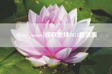 宁阳谷歌地球2024超清版