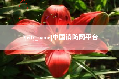 宁阳中国消防网平台
