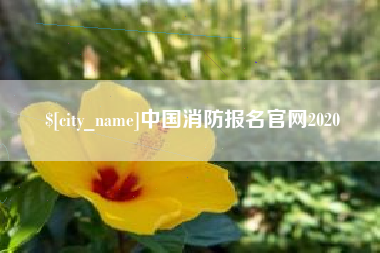 宁阳中国消防报名官网2020