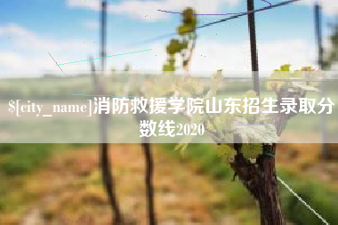 宁阳消防救援学院山东招生录取分数线2020