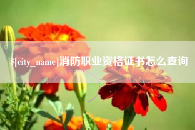 宁阳消防职业资格证书怎么查询