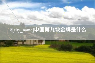 宁阳中国第九块金牌是什么