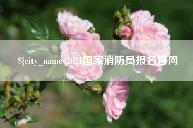 宁阳2021国家消防员报名官网