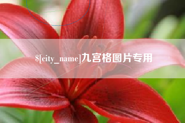 宁阳九宫格图片专用