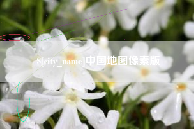 宁阳中国地图像素版