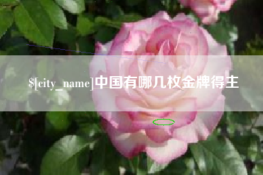 宁阳中国有哪几枚金牌得主
