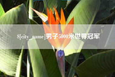 宁阳男子5000米世界冠军