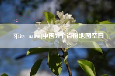 宁阳中国34个省份地图空白