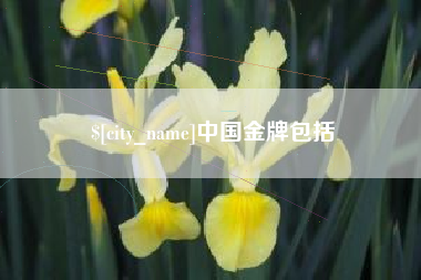宁阳中国金牌包括