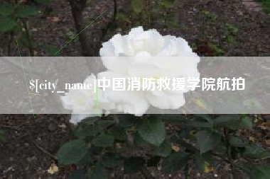 宁阳中国消防救援学院航拍