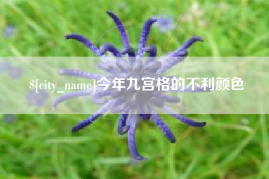 宁阳今年九宫格的不利颜色