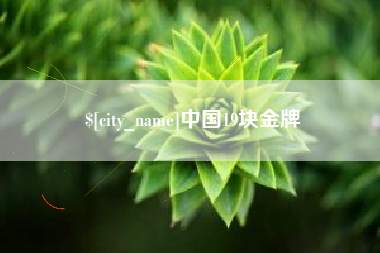 宁阳中国19块金牌