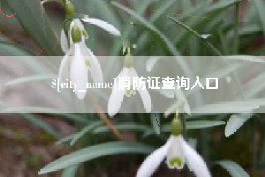 宁阳消防证查询入口