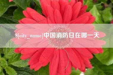 宁阳中国消防日在哪一天