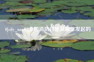 宁阳全国消防日是从哪年发起的