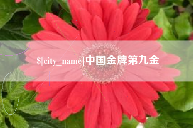 宁阳中国金牌第九金