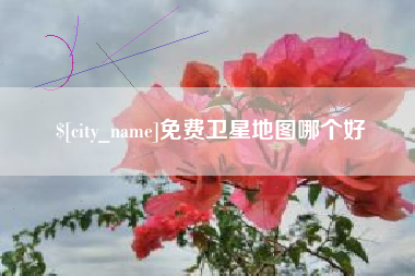 宁阳免费卫星地图哪个好