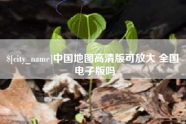 宁阳中国地图高清版可放大 全国 电子版吗