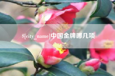 宁阳中国金牌哪几项