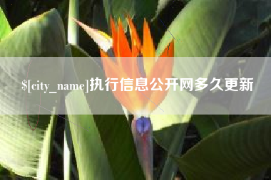 宁阳执行信息公开网多久更新