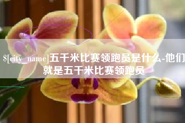宁阳五千米比赛领跑员是什么-他们就是五千米比赛领跑员